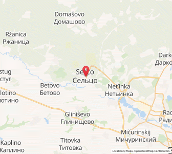 Map of Sel’tso, Bryansk Oblast