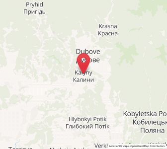 Map of Kalyny, Transcarpathia