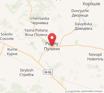 Map of Pulyny, Zhytomyr