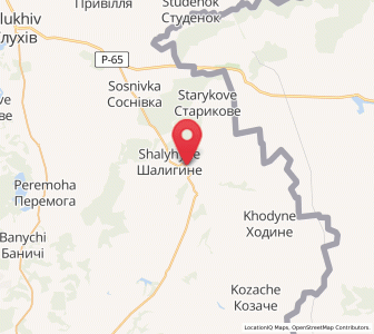 Map of Shalyhyne, Sumy