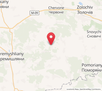 Map of Vyshnivchyk, Lviv