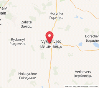 Map of Vyshnivets, Ternopil