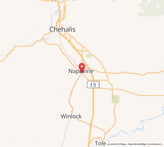 Map of Napavine, Washington