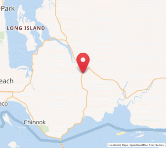 Map of Naselle, Washington