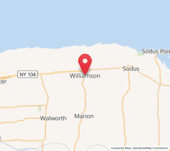 Map of Williamson, New York